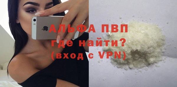 сатива Белоозёрский
