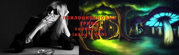 сатива Белоозёрский