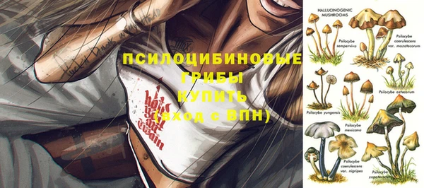 сатива Белоозёрский