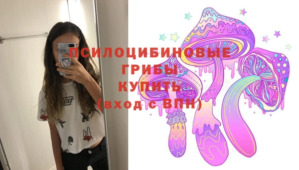 МДПВ Белокуриха
