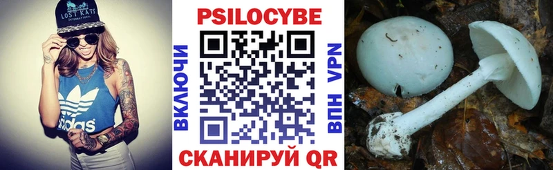 Псилоцибиновые грибы GOLDEN TEACHER  Купить где  Лабинск 