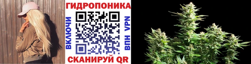 Купить  Лабинск  Бошки Шишки OG Kush 